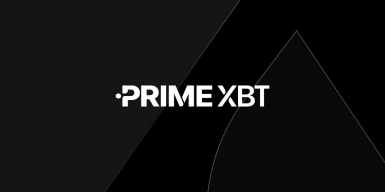 Descubre el Potencial del PrimeXBT Spot Trading