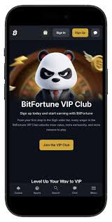 Bitfortune for Casual Players A Comprehensive Guide